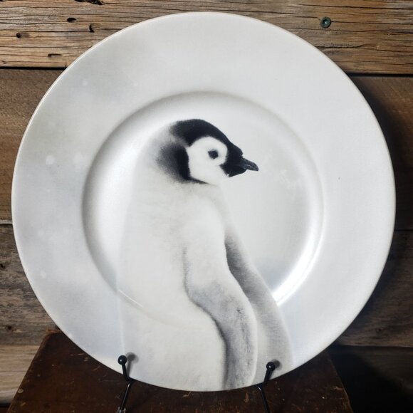 Antarctic Penguin Dinner Plate by Robert Stanley Home Collection 22F5 Collection - Picture 1 of 3